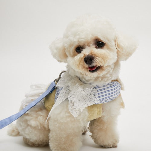 ルイスドッグ louisdog Organic Linen Harness Set【小型犬 犬用 セレブ リード ハーネス 胴輪】