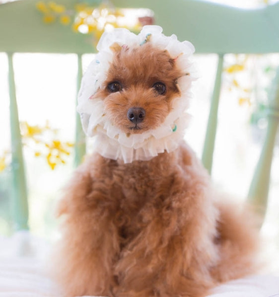 BUL BU-BU Paris pattern snood [small dog wear scarf neck wrap snood ear  cover dog clothes celebrity]