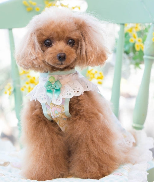 ブルブブ BUL BU-BU COOL Gingham＆ Sweets Tunic【小型犬 犬服 ウエア ワンピースチュニック セレブ】