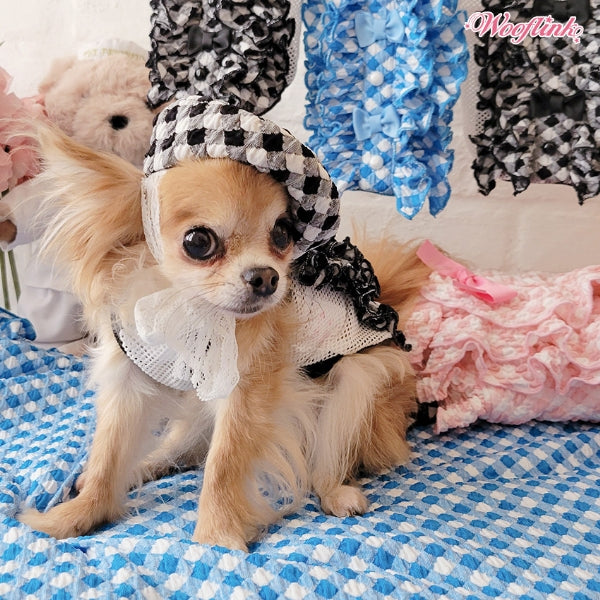 WOOFLINK HEY GORGEOUS ♥ BOY [Small dog dog clothes wear tops cami celebrity]