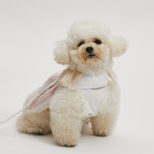 ルイスドッグ louisdog Long Beach Wave Linen Harness Set【小型犬 犬用 セレブ リード ハーネス 胴輪】