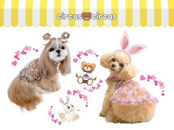 サーカスサーカス circus circus Airyチュニックワンピ(CCW-0253)【小型犬 犬服 ウエア ワンピース ドレス セレブ】