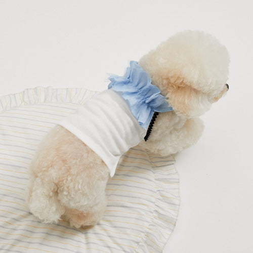 ルイスドッグ louisdog Baby Blue Top【小型犬 犬服 ウエア トップス キャミ セレブ】