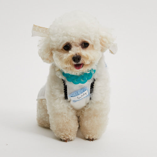 ルイスドッグ louisdog Baby Blue Top【小型犬 犬服 ウエア トップス キャミ セレブ】