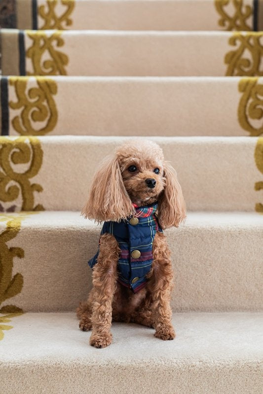 プエルト PUERTO オックスフォード リバーシブルダウンベスト(2/2h/3)【小型犬 犬服 ウエア アウター 上着 コート セレブ 】 送料無料