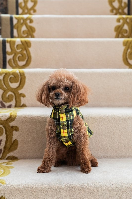 プエルト PUERTO オックスフォード リバーシブルダウンベスト(4h)【小型犬 犬服 ウエア アウター 上着 コート セレブ 】 送料無料