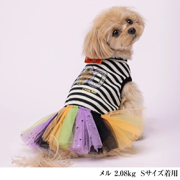 CRAZYBOO Halloween Border Dress [Small Dog Dog Clothes Wear One Piece Dress  Celebrity]