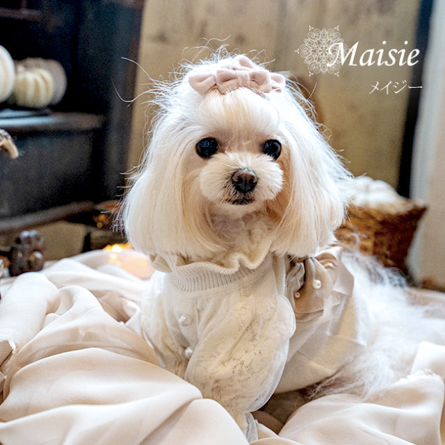 ☆Pre-order items arriving in mid-October☆Glamourism Maisie [Small dog –  TIARA PETS