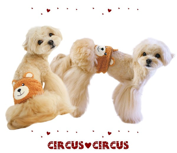 ★予約商品11月中旬入荷★サーカスサーカス circus circus Look like Toy Bear マナーベルト(CCM-0025)【小型犬  ペット マナーバンド マーキングガード セレブ】