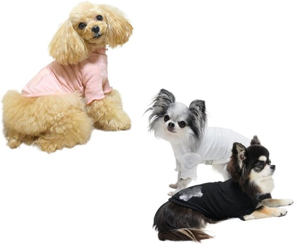 CIRCUSCIRCUSセット 犬服 サーカスサーカス circus ☆先行予約10月中〜下旬☆Toy Bear Dress up