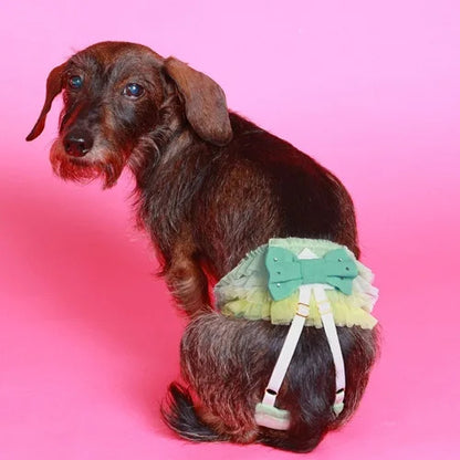 ★予約商品11月下旬入荷★ゴッドピヴァ GODPIVA チュールリボンマナーショーツ【小型犬 サニタリーパンツ マナーショーツ】