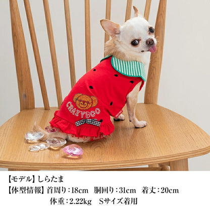 クレイジーブー CRAZYBOO 襟付きフルーツタンク【犬服 小型犬 ウエア セレブ トップス タンク】 送料無料