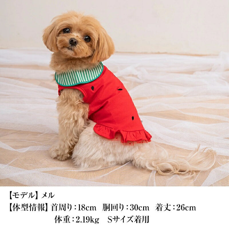 クレイジーブー CRAZYBOO 襟付きフルーツタンク【犬服 小型犬 ウエア セレブ トップス タンク】 送料無料