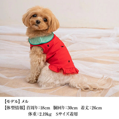 クレイジーブー CRAZYBOO 襟付きフルーツタンク【犬服 小型犬 ウエア セレブ トップス タンク】 送料無料