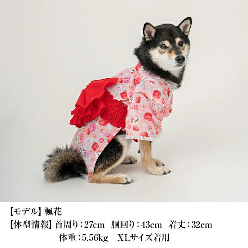 クレイジーブー CRAZYBOO 牡丹柄浴衣【犬服 小型犬 ウエア セレブ