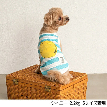 ティノティート TINOTITO フルーツアップリケタンク【小型犬 犬服 ウエア トップス パーカー カジュアル】 送料無料