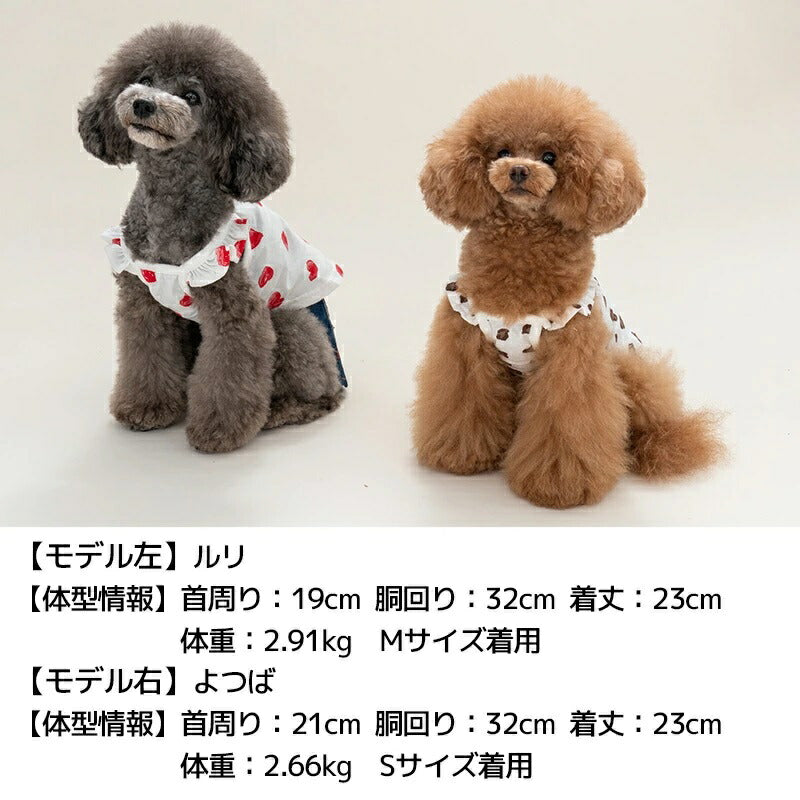 ティノティート TINOTITO プリント柄フリルキャミ【小型犬 犬服 ウエア トップス キャミ カジュアル】 送料無料