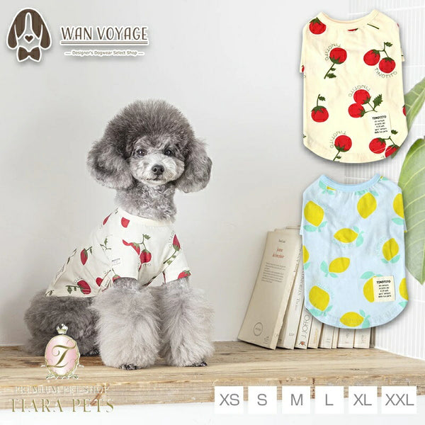 ティノティートTINOTITOプリント柄Tシャツ【小型犬犬服ウエアトップスタンクカジュアル】送料無料