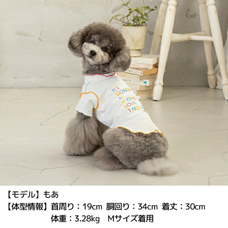 TINOTITO T-shirt colorata e morbida [Vestiti per cani di piccola taglia indossano canottiere casual] Spedizione gratuita