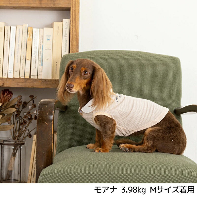 ティノティート TINOTITO 結び襟ボーダータンク【小型犬 犬服 ウエア トップス タンク カジュアル】 送料無料