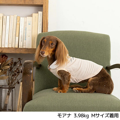 ティノティート TINOTITO 結び襟ボーダータンク【小型犬 犬服 ウエア トップス タンク カジュアル】 送料無料