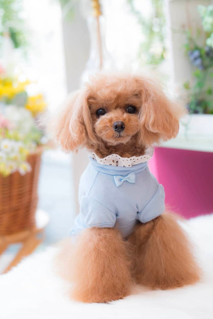 Camiseta de encaje con cuello BUL BU-BU [ropa para perros pequeños, Tops, camiseta de manga corta para celebridades], envío gratis