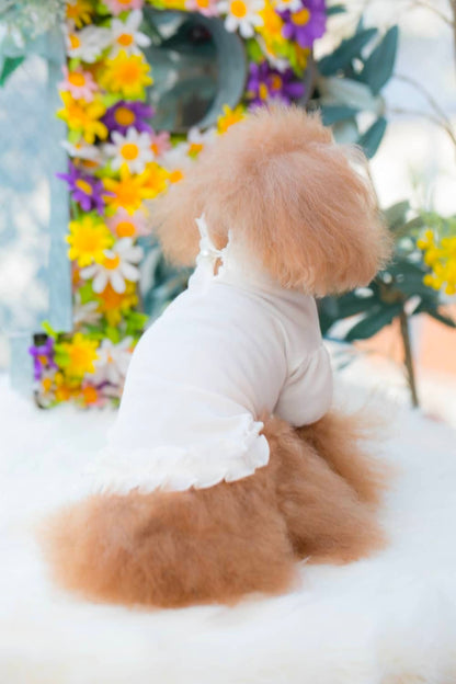 Camiseta de encaje con cuello BUL BU-BU [ropa para perros pequeños, Tops, camiseta de manga corta para celebridades], envío gratis