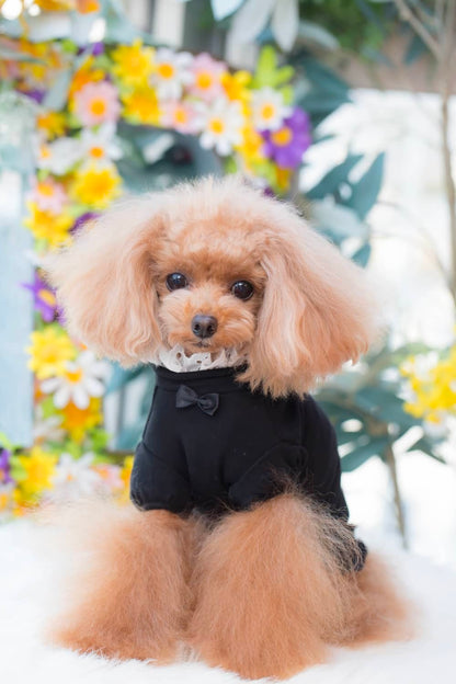 Camiseta de encaje con cuello BUL BU-BU [ropa para perros pequeños, Tops, camiseta de manga corta para celebridades], envío gratis