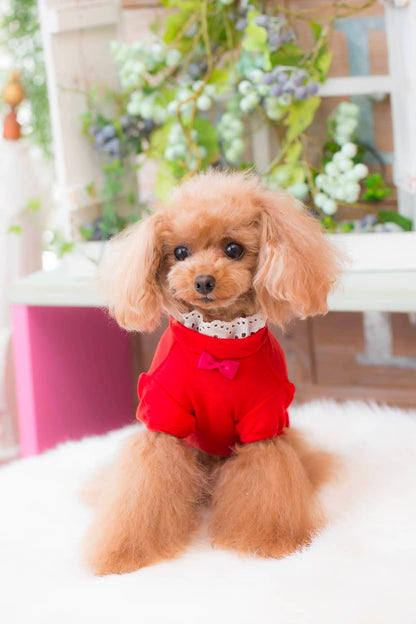 Camiseta de encaje con cuello BUL BU-BU [ropa para perros pequeños, Tops, camiseta de manga corta para celebridades], envío gratis