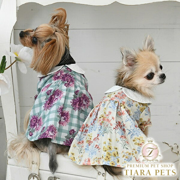 ローラアシュレイLAURAASHLEYコットンレース襟ワンピース