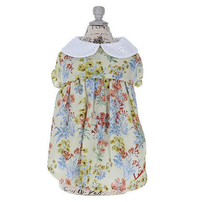 ローラアシュレイ LAURA ASHLEY コットンレース襟ワンピース【小型犬 犬服 ウェア ワンピース セレブ】