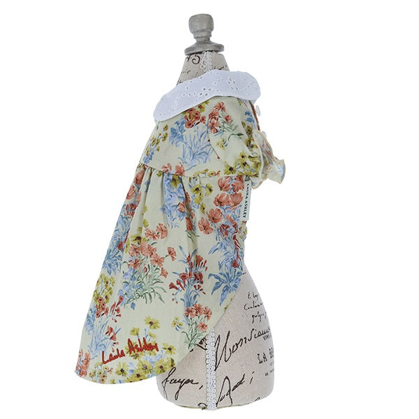 ローラアシュレイ LAURA ASHLEY コットンレース襟ワンピース【小型犬 犬服 ウェア ワンピース セレブ】