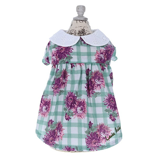 ローラアシュレイ LAURA ASHLEY コットンレース襟ワンピース【小型犬 犬服 ウェア ワンピース セレブ】