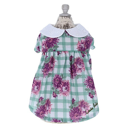 ローラアシュレイ LAURA ASHLEY コットンレース襟ワンピース【小型犬 犬服 ウェア ワンピース セレブ】