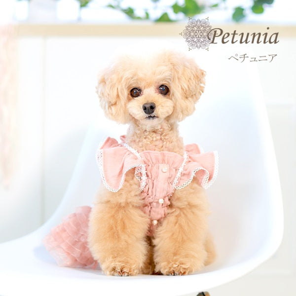 グラマーイズム Glamourism ペチュニア Petunia【小型犬 犬服 ウエア