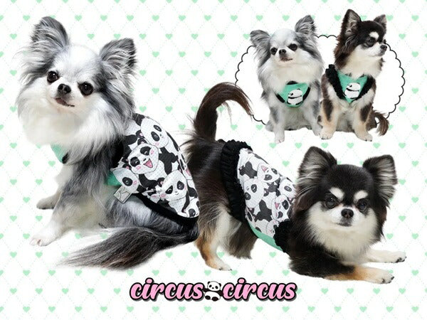Circo Circo circo circo FUNNY PANDA Canotta (CCW-0266) [Vestiti per cani di piccola taglia indossano canottiere]