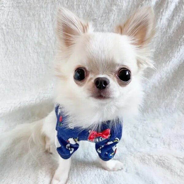 オッティ Otty HELLO KITTYコラボ・リラックスタイム 総柄ヒートワンTシャツ【小型犬 トップス Tシャツ ヒートワン コラボ】
