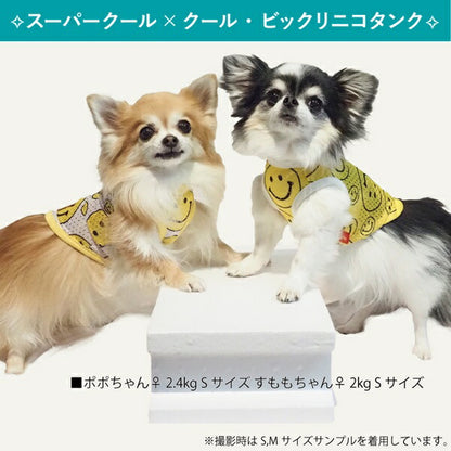 クークチュール Coo Couture スーパークール×クール・ビックリニコタンク［12441］【小型犬 トップス タンク 介護服】