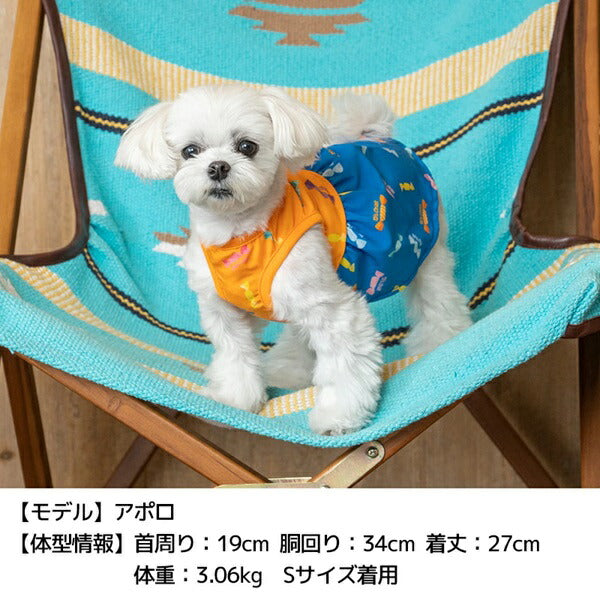ディーズチャット D's CHAT キャンディ柄ワンピ【犬服 小型犬 ウエア ワンピース カジュアル】