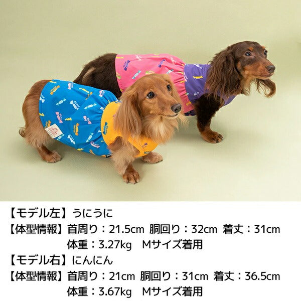 ディーズチャット D's CHAT キャンディ柄ワンピ【犬服 小型犬 ウエア ワンピース カジュアル】