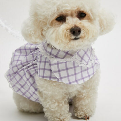 ルイスドッグ louisdog Blueberry Walking Jacket【小型犬 犬服 アウター ジャケット セレブ】