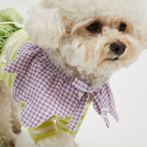 ルイスドッグ ルイスドッグ louisdog Long Beach Collar【小型犬 犬服 アクセサリー