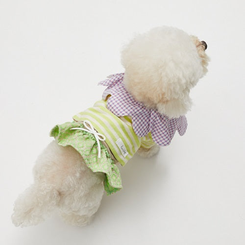 ルイスドッグ ルイスドッグ louisdog Long Beach Collar【小型犬 犬服 アクセサリー