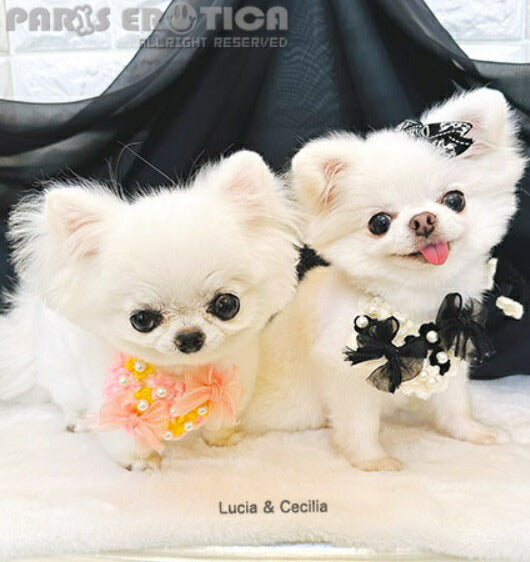 ピンクゴールド　レースワンピース　M　パリエロ　ブルブブ