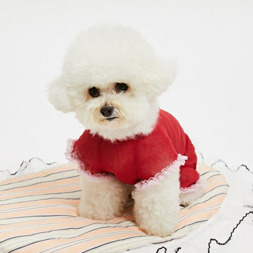 ルイスドッグ louisdog Playful Tracksuits/Red【小型犬 犬服 ジャンプスーツ オールインワン セレブ】