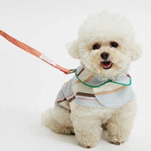 ルイスドッグlouisdogBeachwalkLeash