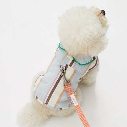 ルイスドッグlouisdogBeachwalkLeash