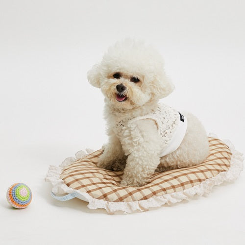 ルイスドッグlouisdogTennisClubTOP