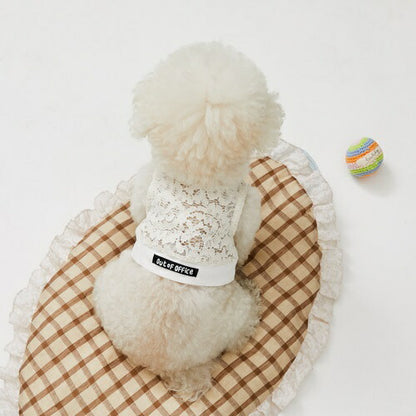 ルイスドッグlouisdogTennisClubTOP