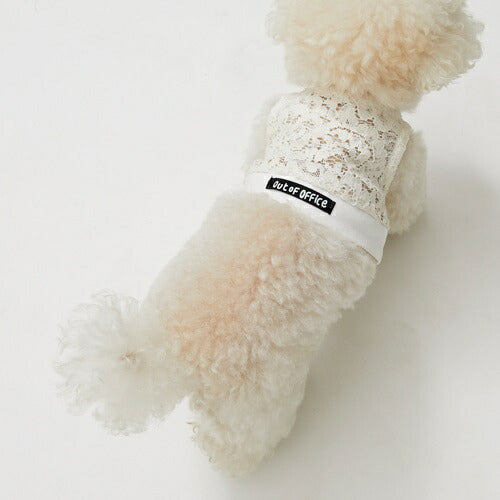 ルイスドッグlouisdogTennisClubTOP